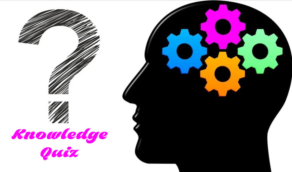 Knowledge Quiz - Image 2